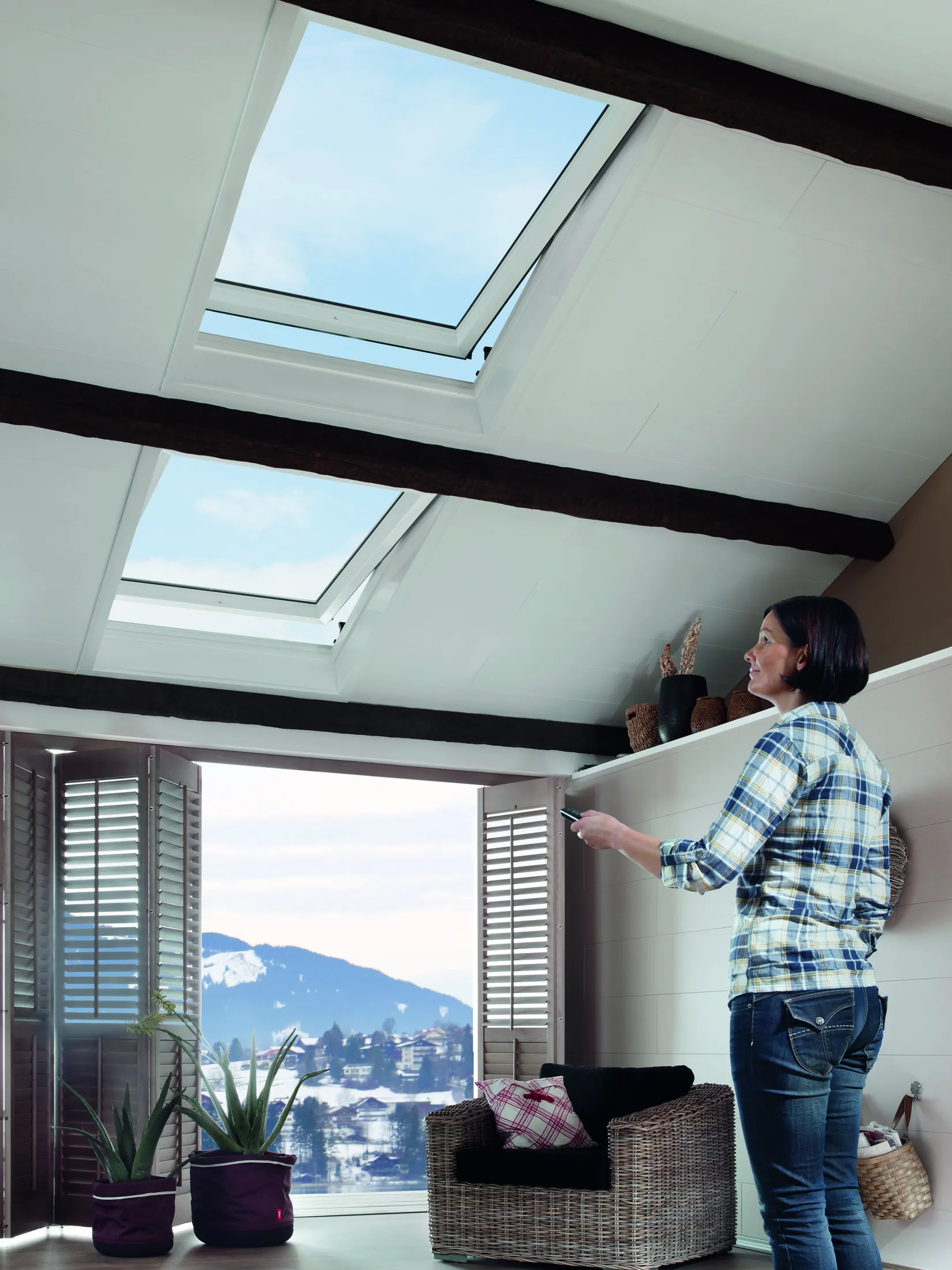 Fenster, Dachfenster, Pflanze, Hosen, Person