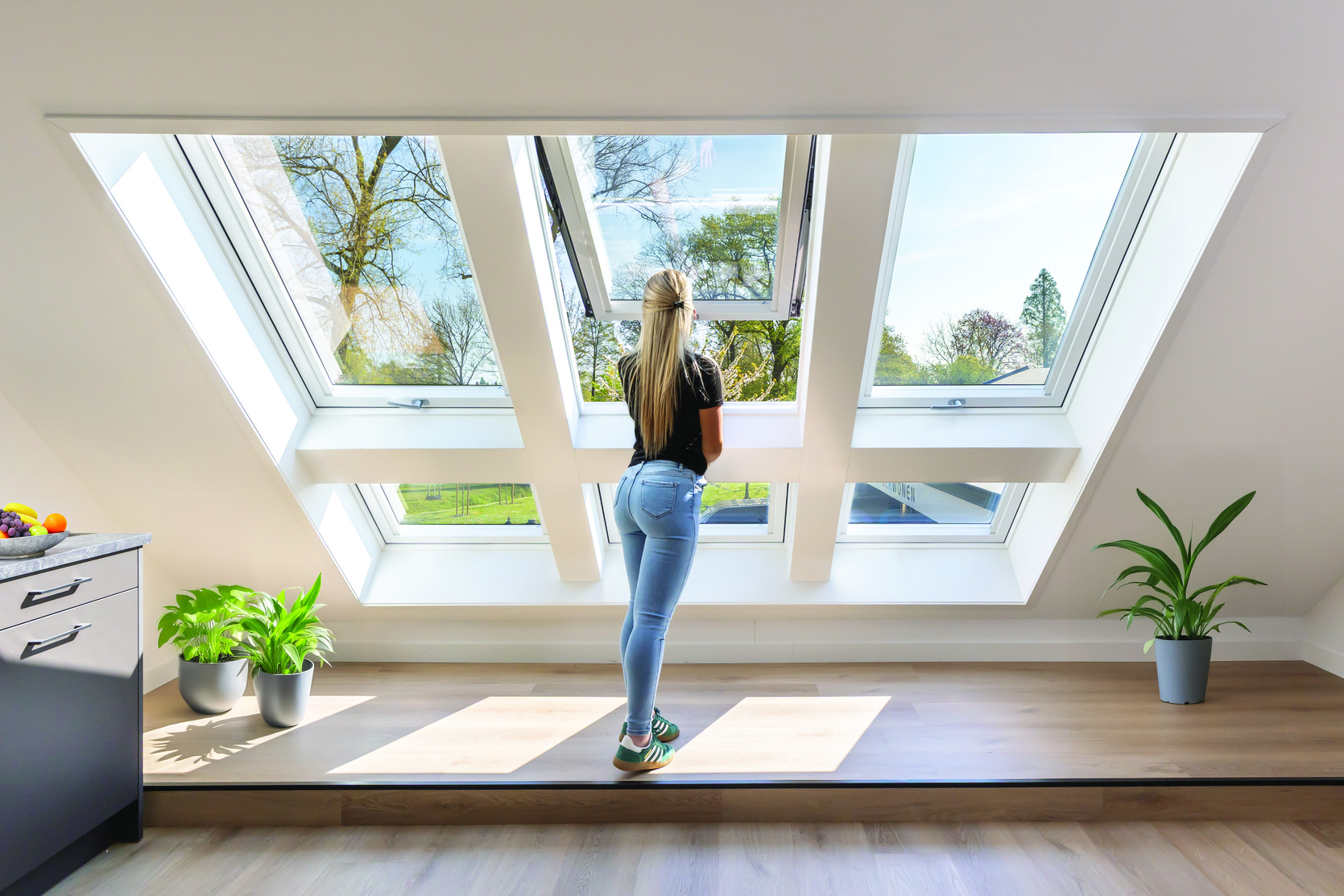 Fenster, Gebäude, Dachfenster, Pflanze, Person, Fenster, Gebäude, Dachfenster, Pflanze, Person, Fenster, Gebäude, Dachfenster, Pflanze, Person, Fenster, Gebäude, Dachfenster, Pflanze, Person