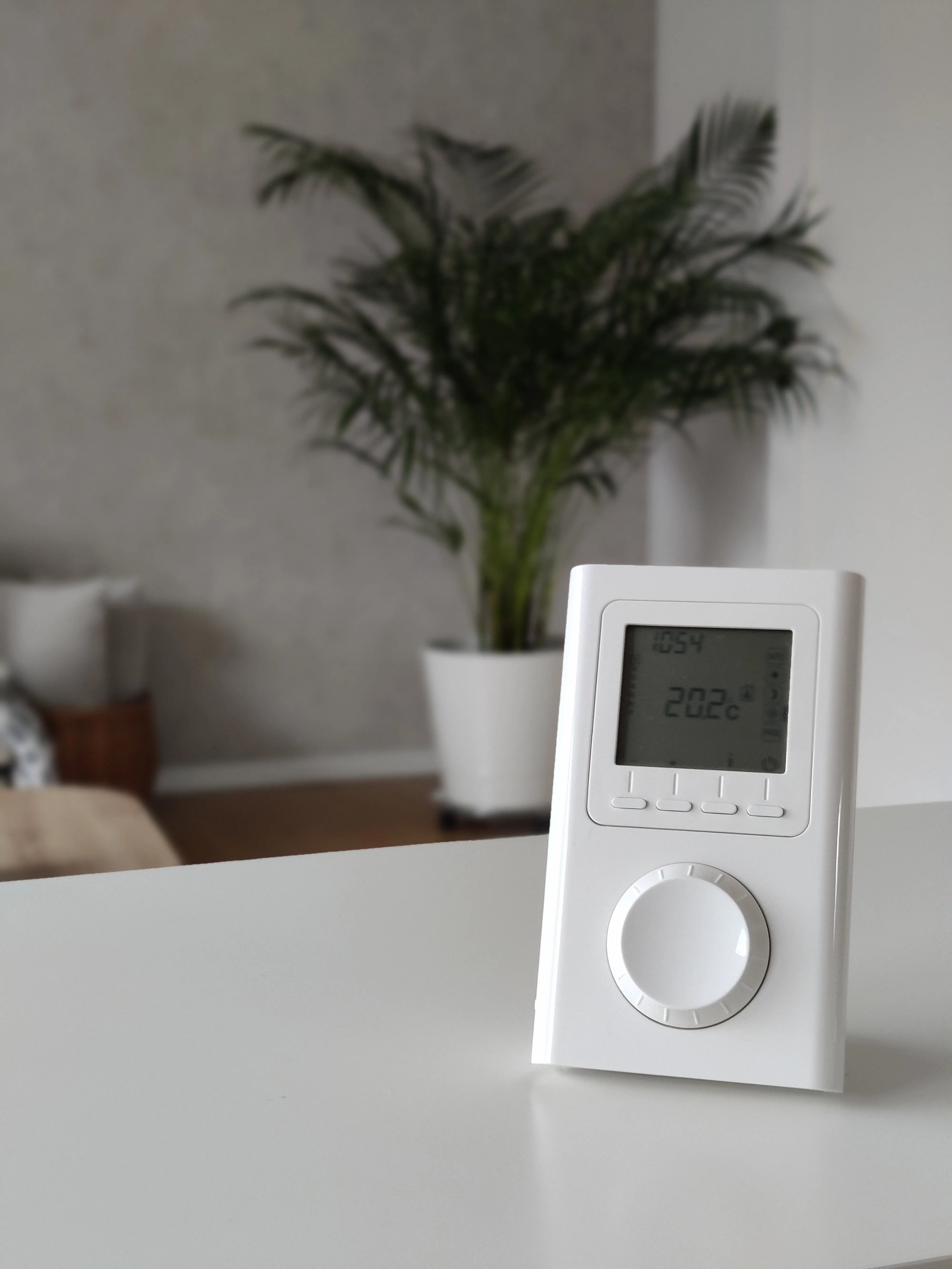 Pflanze, Pflanze im Topf, Elektronik, Bildschirm, Überwachen